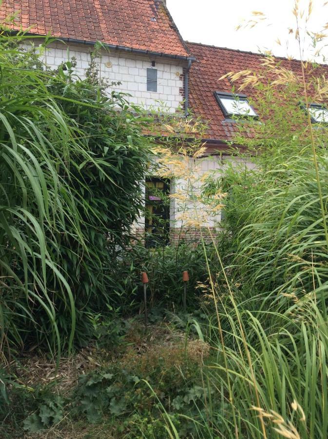 Le Clos Du Carpe Diem Cambligneul Exterior foto
